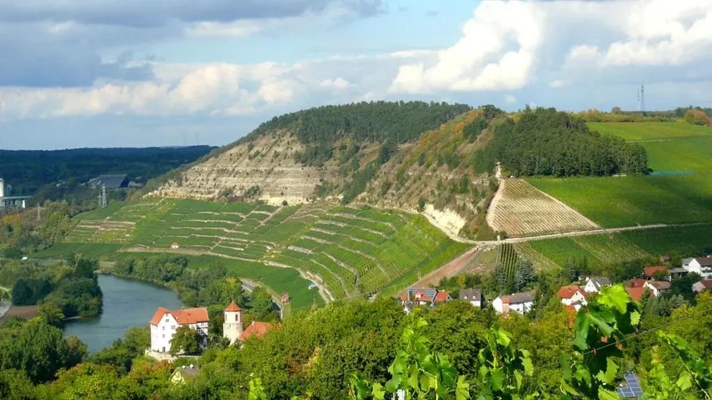 Weinberge in Homburg an einem Fluss, mit einem kleinen Dorf und Waldgebieten unter einem teilweise bewölkten Himmel.